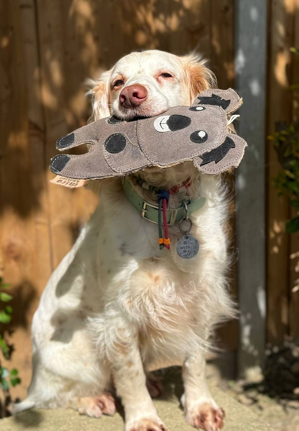 Eco Dog Toys By Miro & Makauri - Kelvin Koala
