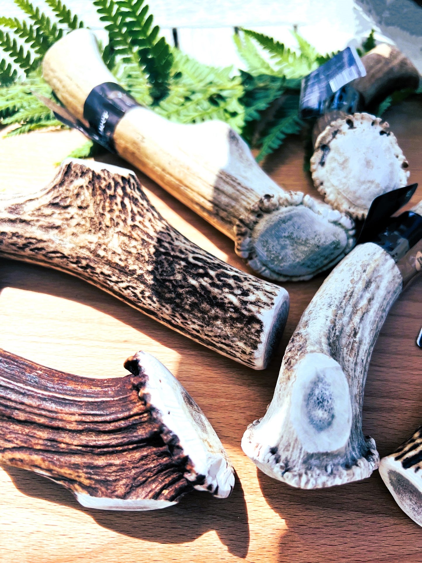 100% Natural Red Deer Antler Chew