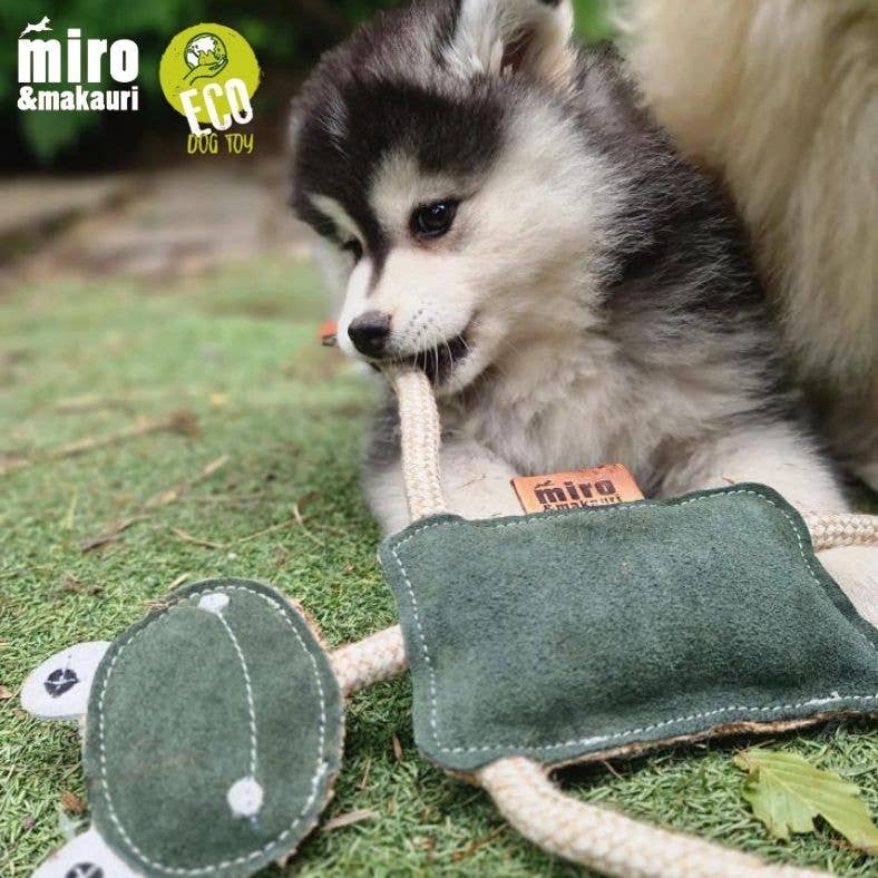 Eco Dog Toys By Miro & Makauri - Freddie the Frog