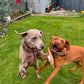 Eco Dog Toys By Miro & Makauri - Betsie Cow.