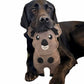Eco Dog Toys By Miro & Makauri - Kelvin Koala