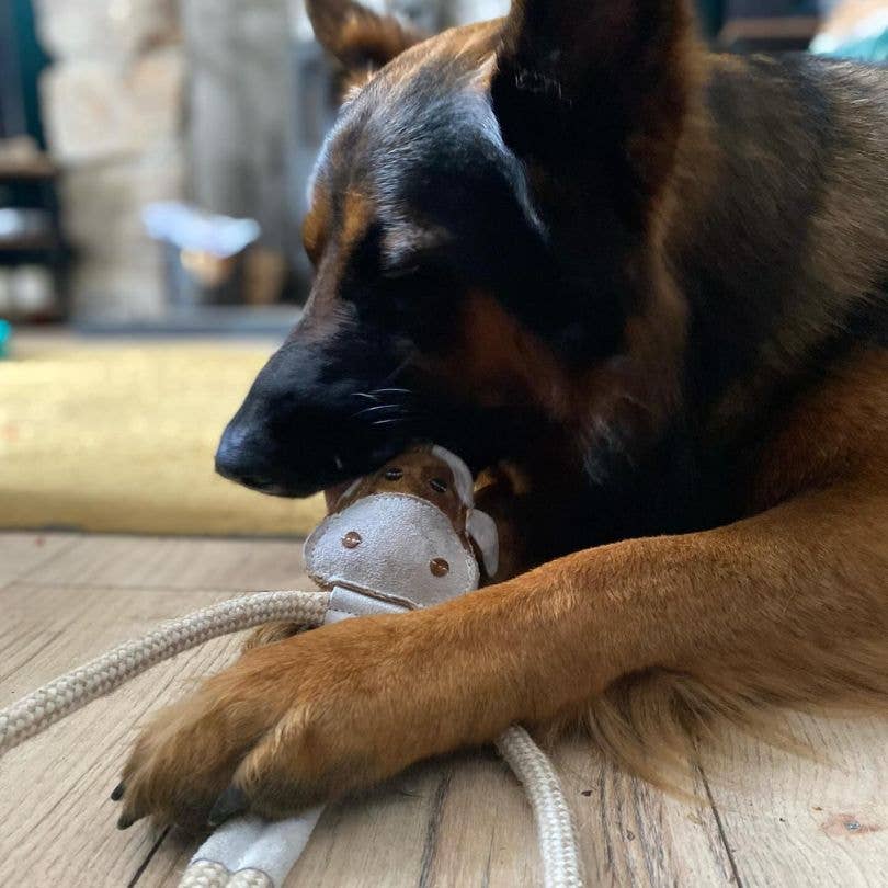 Eco Dog Toys By Miro & Makauri - Cuthbert the Cow