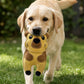 Eco Dog Toys By Miro & Makauri - Carlos Capybara