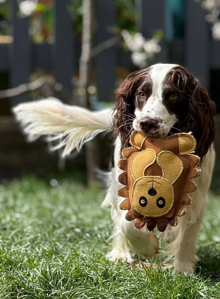 Eco Dog Toys By Miro & Makauri - Horace Hedgehog