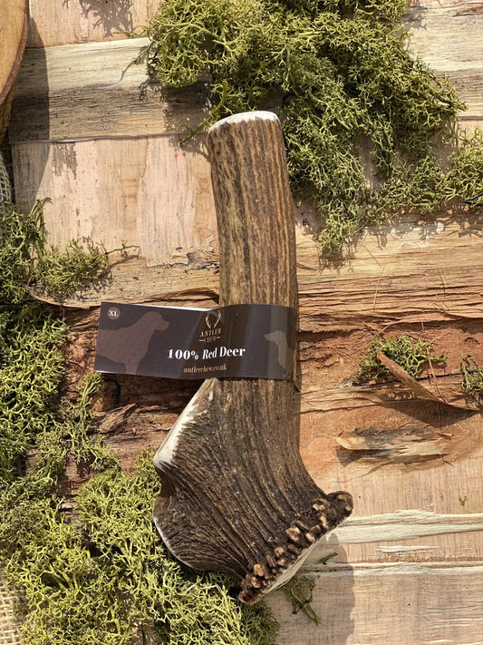 100% Natural Red Deer Antler Chew