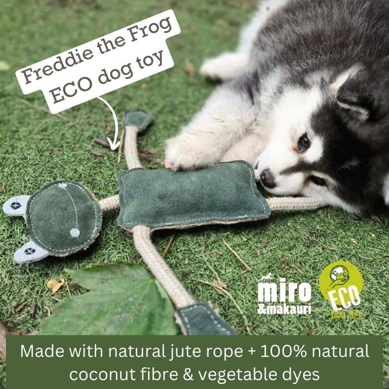 Eco Dog Toys By Miro & Makauri - Freddie the Frog
