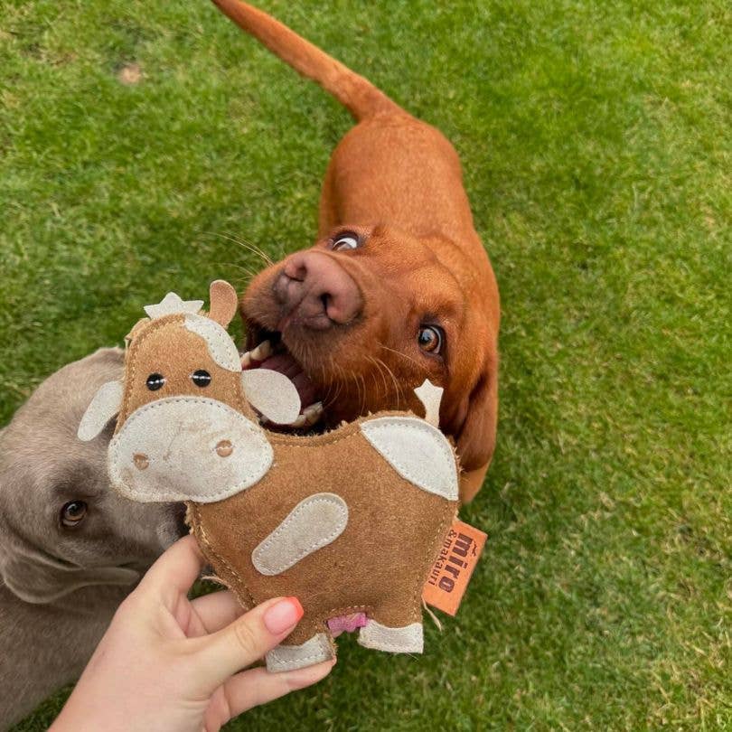 Eco Dog Toys By Miro & Makauri - Betsie Cow.