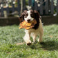 Eco Dog Toys By Miro & Makauri - Horace Hedgehog